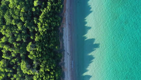 idyllic-beach-Porquerolles-white-sand-Courtade-France-aerial-top-shot-pine-trees